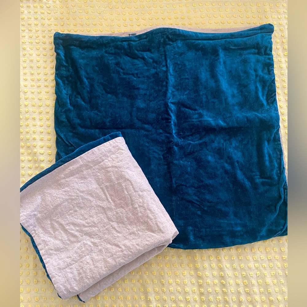 West Elm Velvet pillow covers for 17” (pair)